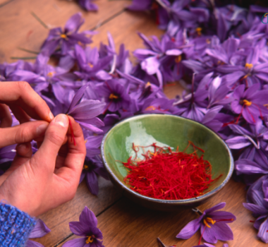 SAFFRON – “VÀNG ĐỎ” CỦA HY LẠP